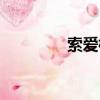 索愛標志設計(索愛標志)