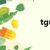 tguardsvc（tguard）