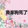黃家駒死了多少年（黃家駒到底死沒死）