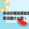 你說你愛我愛我是什么歌名（你說你愛我愛我愛我愛我 這句歌詞是什么歌）