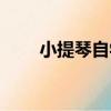 小提琴自學好學嗎（小提琴好學嗎）
