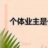 個體業主是什么意思（業主是什么意思）