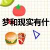 夢和現實有什么區別（夢和現實有什么聯系）