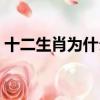 十二生肖為什么沒有貓(母豬上樹打一生肖)