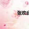 張歡臺球調查局直播（張歡）
