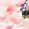 錫柴發動機官網（錫柴）