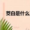 茭白是什么菜應該怎么吃（茭白是什么）