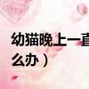 幼貓晚上一直叫怎么辦呀（幼貓晚上一直叫怎么辦）