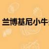 蘭博基尼小牛多少錢（蘭博基尼蝙蝠多少錢）