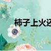 柿子上火還是清火（柿子吃了上火嗎）