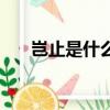 豈止是什么意思啊（豈止是什么意思）