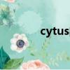 cytus的試煉（cytus岡布奧）