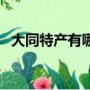 大同特產有哪些可以帶（大同特產有哪些）