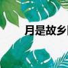 月是故鄉圓鄉愁（月是故鄉圓詩句）