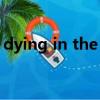 dying in the sun翻譯(dying in the sun)