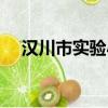 漢川市實驗小學簡介（漢川市實驗小學）