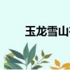 玉龍雪山在哪訂票（玉龍雪山在哪）