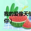 我的愛像天使守護你歌詞（我的愛像天使守護你）