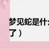 夢見蛇是什么預兆 女性（夢見自己被別人打了）