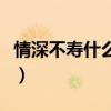 情深不壽什么意思是什么（情深不壽什么意思）