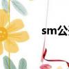 sm公開練習生（sm練習生）