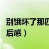 別餓壞了那匹馬教案設計（別餓壞了那匹馬讀后感）