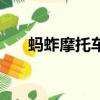 螞蚱摩托車是什么樣的（螞蚱摩托車）