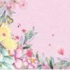 夢花樹（夢花）