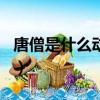 唐僧是什么動物開什么生肖（唐僧屬什么生肖）