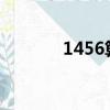 1456算24點（2248算24點）