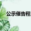 公示催告程序兩個階段（公示催告程序）