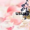 usually的音標（usually發音）