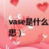 vase是什么意思英語怎么讀（vase是什么意思）