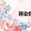 異染色質的特點（異染色質）
