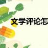 文學評論怎么寫ppt（文學評論怎么寫）