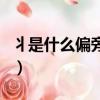 丬是什么偏旁怎么讀冫（丬是什么偏旁怎么讀）