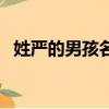 姓嚴的男孩名字兩個字（姓嚴的男孩名字）