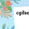 cgilson中國官網（c gilson）