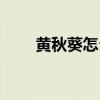 黃秋葵怎么吃養胃（黃秋葵怎么吃）