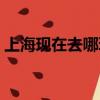 上海現在去哪玩比較好（現在去哪玩比較好）
