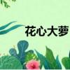 花心大蘿卜打一成語（花心大蘿卜）