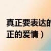 真正要表達的事情叫做隨緣風景（什么叫做真正的爰情）