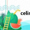 celina江南師姐（celina）