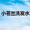 小蒼蘭洗發水怎么樣（小蒼蘭洗發水好用嗎）