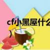 cf小黑屋什么意思怎么辦（cf小黑屋什么意思）