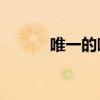唯一的唯一mp3（唯一的唯一）