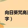 向日葵梵高鑒賞（向日葵梵高作品賞析1000字）