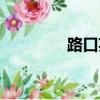 路口英文翻譯（路口英文）