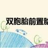雙胞胎前置胎盤怎么辦（前置胎盤怎么辦）