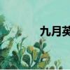 九月英文怎么讀（九月 英文）